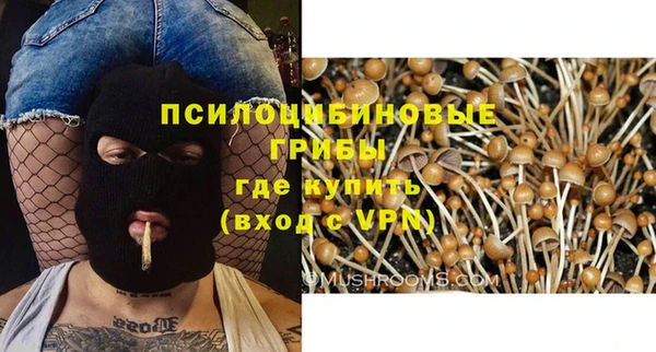 гашишное масло Богородицк