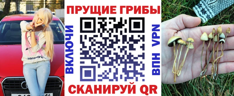 Купить  Суздаль  Псилоцибиновые грибы GOLDEN TEACHER 