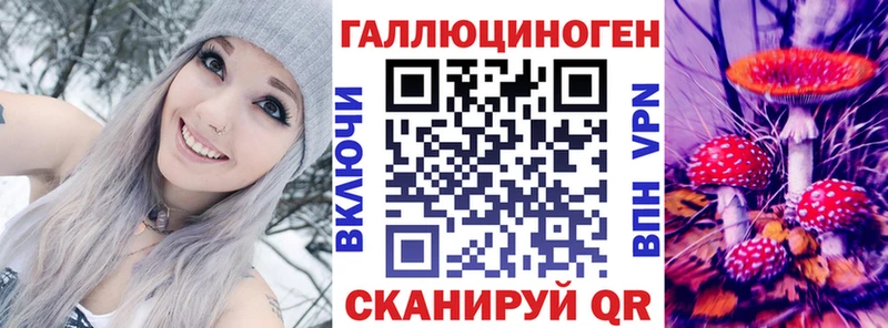 Псилоцибиновые грибы Psilocybe Суздаль