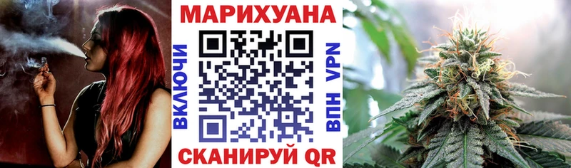 Купить  Суздаль  Канабис семена 